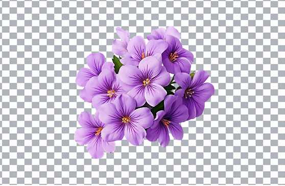 Background Remover — after