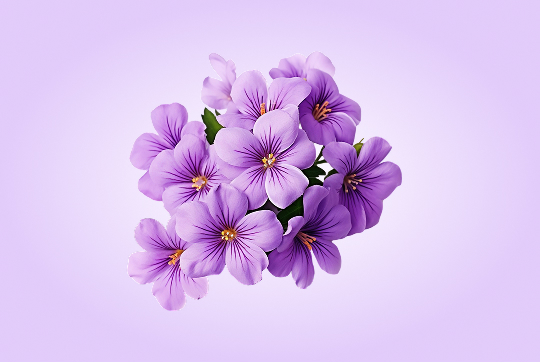 Background Remover — before